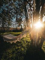 Gemütliche Blockhütte mit Sauna  - Top-Hundeurlaub