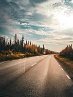 Gemütliche Blockhütte mit Sauna  - Top-Hundeurlaub