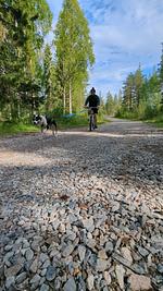 Gemütliche Blockhütte mit Sauna  - Top-Hundeurlaub