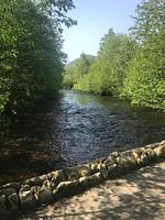 Ferienwohnungen Bartels Harz - Top-Hundeurlaub