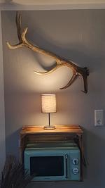 Ferienwohnungen Bartels Harz - Top-Hundeurlaub