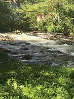 Ferienwohnungen Bartels Harz - Top-Hundeurlaub