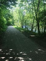 Ferienwohnungen Bartels Harz - Top-Hundeurlaub