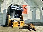 Terrasse - Ferienhaus Weidefelderstrandhaus Olpenitz - Top-Hundeurlaub