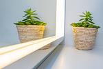 Dekoratives Detail - Sylt Homes Flut 6 - Top-Hundeurlaub