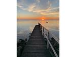 Landschaft - Ferienhaus Achtkanthus Achtern Diek - Top-Hundeurlaub
