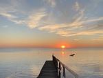 Landschaft - Ferienhaus Strandkorb - Top-Hundeurlaub