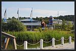Landschaft - Haus: Terrasse, Seeblick, Sauna- und Schwimmbadnutzung - Top-Hundeurlaub