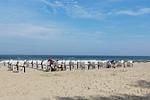 Strand - Haus: Terrasse, Seeblick, Sauna- und Schwimmbadnutzung - Top-Hundeurlaub