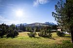 Appartement  Steigerbauer 1 - Top-Hundeurlaub