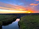 Hallig Hüs 1 - Top-Hundeurlaub