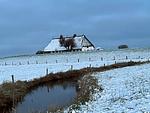 Hallig Hüs 1 - Top-Hundeurlaub