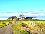 Hallig Hüs 1 - Top-Hundeurlaub