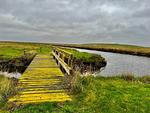 Hallig Hüs 1 - Top-Hundeurlaub
