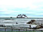 Hallig Hüs 1 - Top-Hundeurlaub