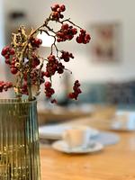 Blaue Huis    Erdgeschoß  mit Sauna - Top-Hundeurlaub