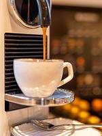 Dekoratives Detail - Haus Westerländer Perle - Top-Hundeurlaub