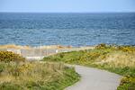 Meeresblick-List    mit Sauna - Top-Hundeurlaub