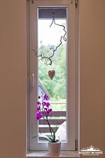 Auszeit im Harz - Haus 2 - Wohnung 1 - Top-Hundeurlaub