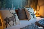 Auszeit im Harz - Haus am See - Wohnung 24 - Top-Hundeurlaub