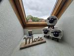 Ferienwohnung Watt`n Segen LH Katharina Büsum - Top-Hundeurlaub