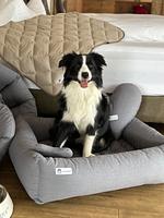 Hotel Klosterbräu***** - Top-Hundeurlaub