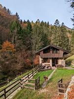 I11b Haus Sally: Einsamkeit, Gemütlichkeit, Erholung! mit komplett eingezäunten Garten. Am Ledrosee in Oberitalien - Top-Hundeurlaub