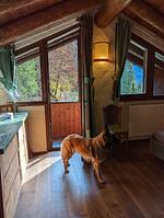 I11b Haus Sally: Einsamkeit, Gemütlichkeit, Erholung! mit komplett eingezäunten Garten. Am Ledrosee in Oberitalien - Top-Hundeurlaub