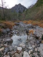 I11b Haus Sally: Einsamkeit, Gemütlichkeit, Erholung! mit komplett eingezäunten Garten. Am Ledrosee in Oberitalien - Top-Hundeurlaub