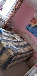 P105b Hunde willkommen,  eingezäunten Garten+Bootssteg am Stettiner Haff - Top-Hundeurlaub