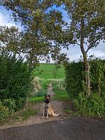 N113a Ferienhaus Hetty mit eingezäunten Garten, fußläufig zum Strand in Holland - Top-Hundeurlaub