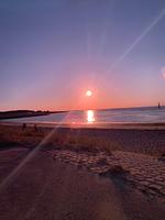 N113a Ferienhaus Hetty mit eingezäunten Garten, fußläufig zum Strand in Holland - Top-Hundeurlaub