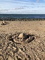 N113a Ferienhaus Hetty mit eingezäunten Garten, fußläufig zum Strand in Holland - Top-Hundeurlaub