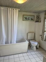 Alte Liebe - Top-Hundeurlaub