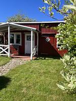 Alte Liebe - Top-Hundeurlaub