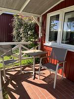 Alte Liebe - Top-Hundeurlaub