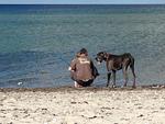 Traumblick - Top-Hundeurlaub