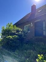 Traumblick - Top-Hundeurlaub