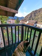 I11h Ferienhaus Casa Giulia mit eingezäunten Garten am Ledrosee - Top-Hundeurlaub