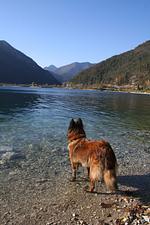 I11h Ferienhaus Casa Giulia mit eingezäunten Garten am Ledrosee - Top-Hundeurlaub