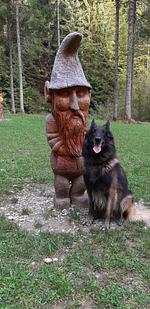 I11h Ferienhaus Casa Giulia mit eingezäunten Garten am Ledrosee - Top-Hundeurlaub