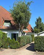FeWo 43.3, Heideweg 3 c - Top-Hundeurlaub