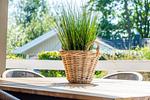 Dekoratives Detail - Ferienhaus 03 - Top-Hundeurlaub