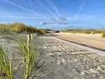 Bungalow Juist - 150 Meter vom Strand - Top-Hundeurlaub