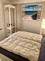 Bungalow Juist - 150 Meter vom Strand - Top-Hundeurlaub