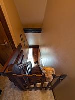 F1655a Ferienhaus Paulette im Elsaß - Top-Hundeurlaub