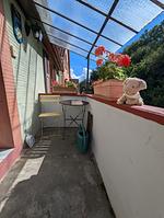 F1655a Ferienhaus Paulette im Elsaß - Top-Hundeurlaub