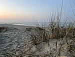 Fewo Jever - Top-Hundeurlaub