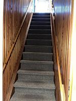 FeWo 2 An der Harle mit Dachterrasse - Top-Hundeurlaub