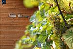 Ferienhaus Villa Riesling - Top-Hundeurlaub